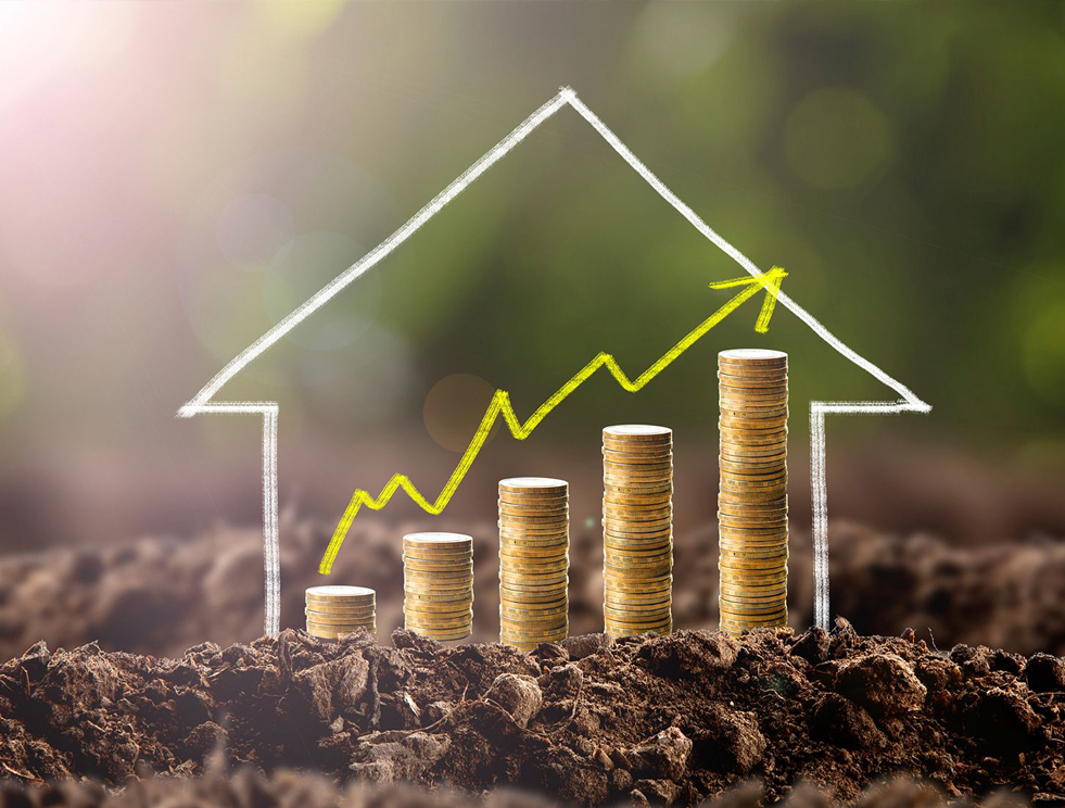 Инвестиции в землю как надежный актив.