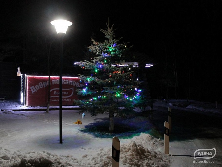 Новогодняя елка и праздничное освещение в поселке Высоты.