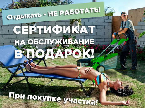 Сертификат в ПОДАРОК!