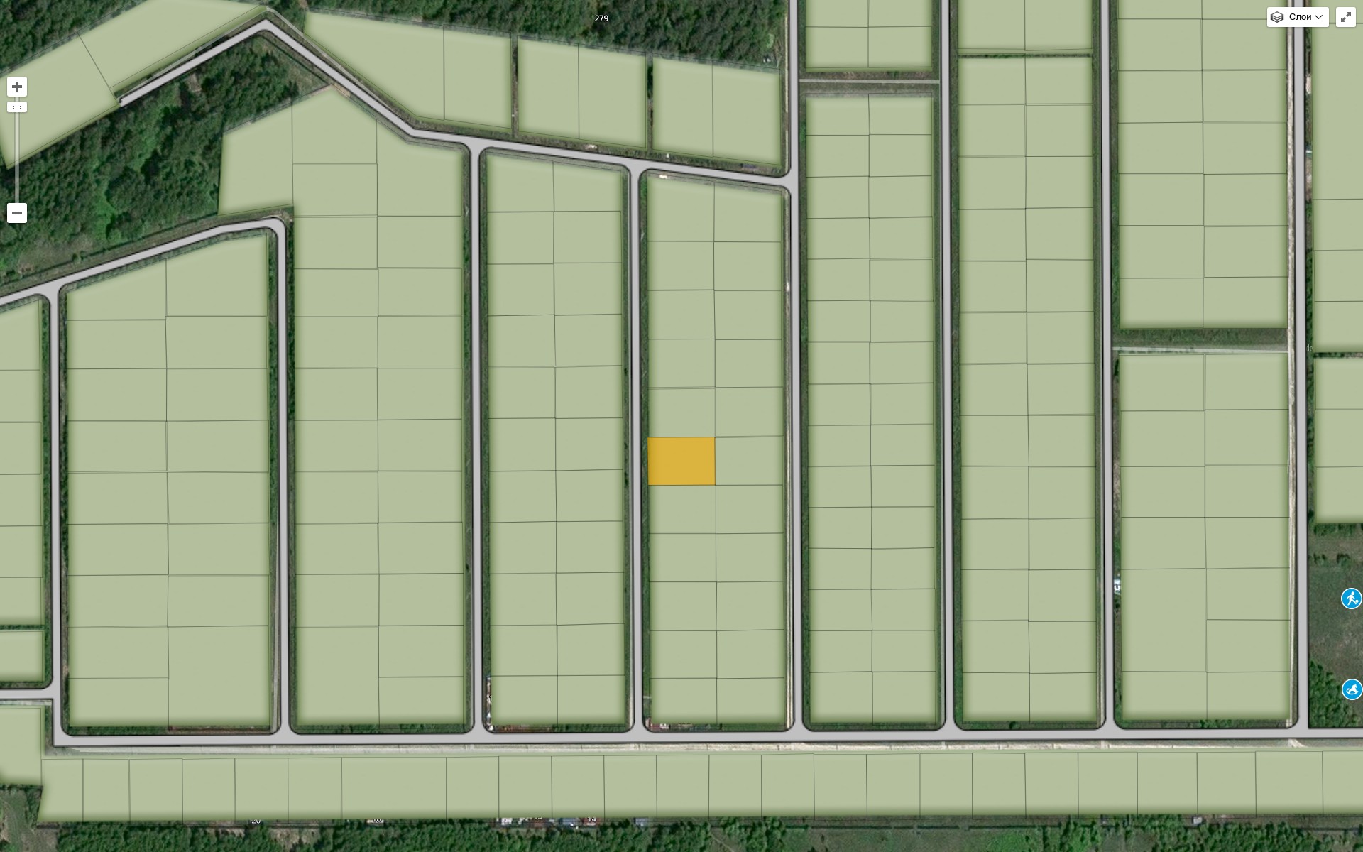 Лесные просторы — фото участка 1
