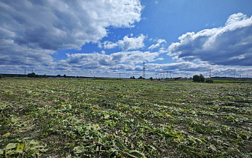 Покос травы в поселке Таширово