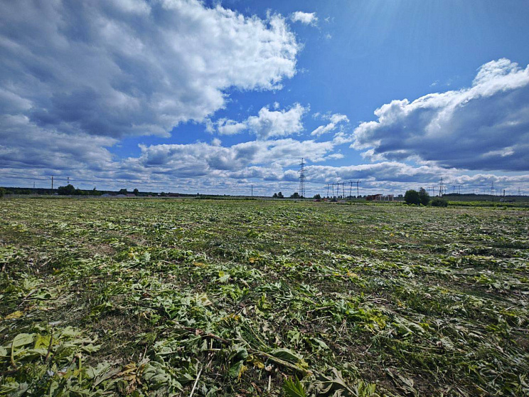 Покос травы в поселке Таширово