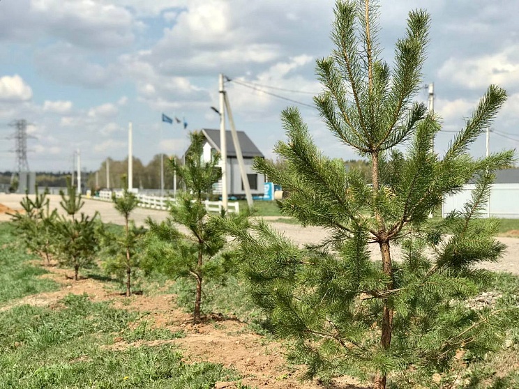 Продолжается  благоустройство территорий в поселках компании «Удача».