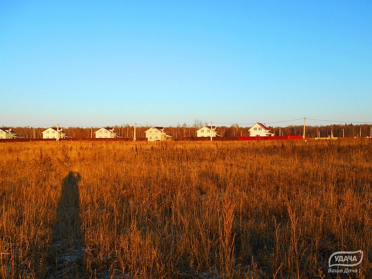 Ноябрьский фотоотчет - поселок Боровки.