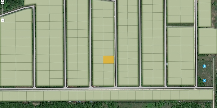 участок №142