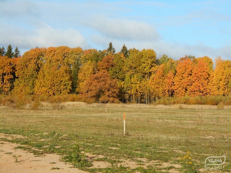 Осенний фотоотчет - поселок Верховье 2