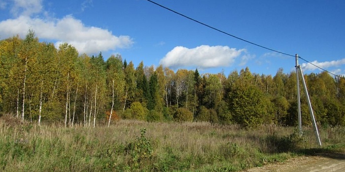 Земельный участок 15 соток по Новой Риге в Шаховском районе