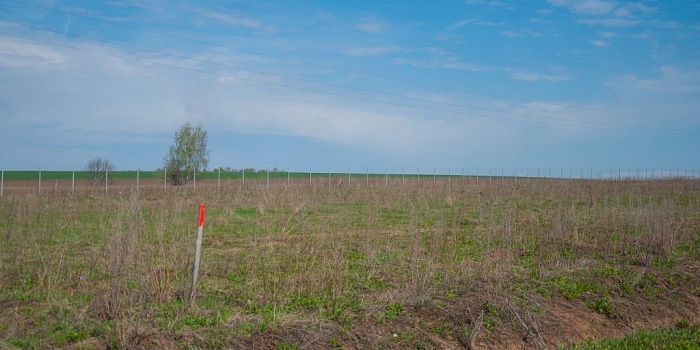 Участок №325 в поселке Окунёво