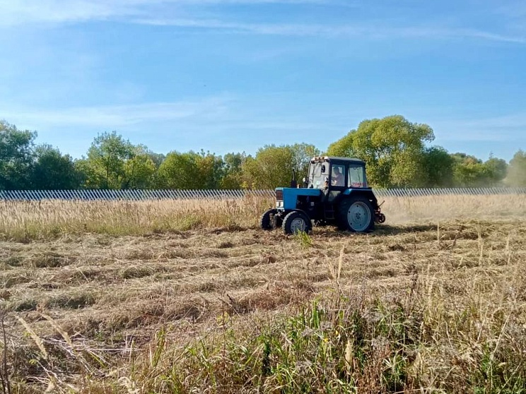 Покос травы