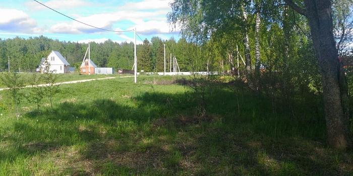участок №5003