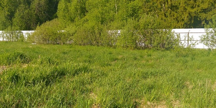 участок №5007