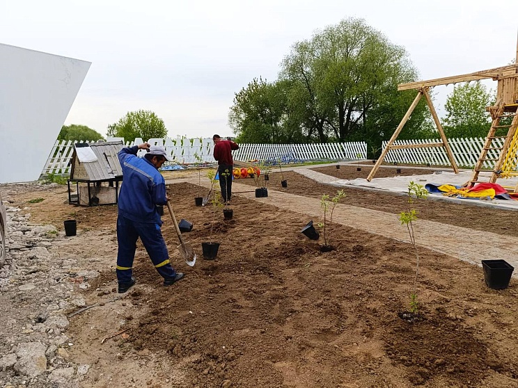 Озеленение детской площадки в Адмирале