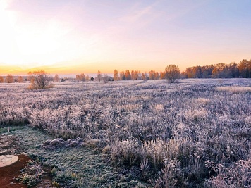 Утро за городом 