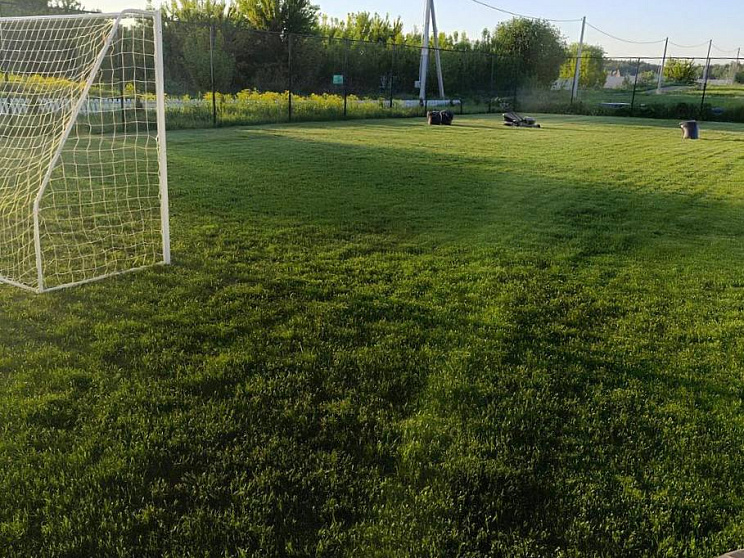 Покос травы