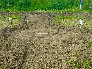 Благоустройство зоны отдыха у пруда в посёлке Ольшаны