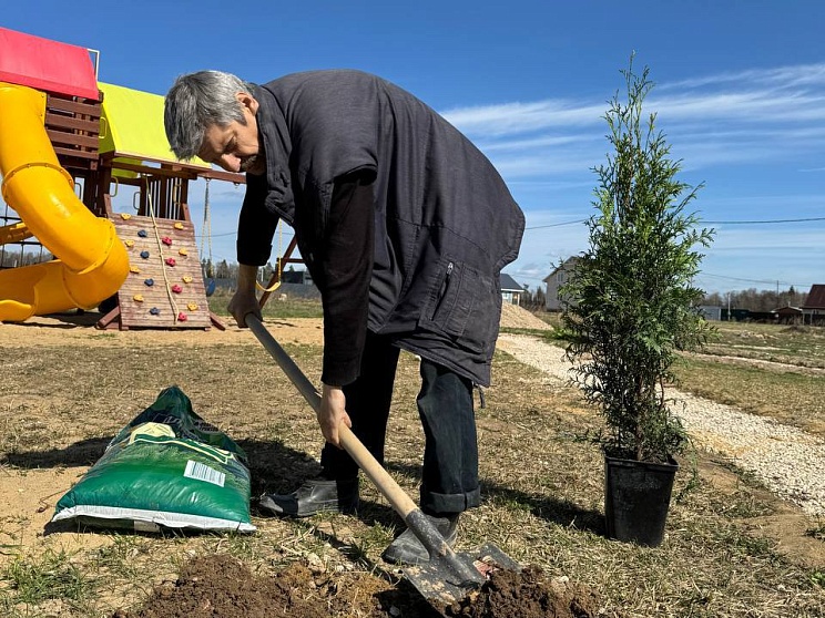 Высадили деревья, озеленили зону отдыха