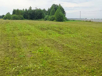 В поселке Власьево покосили траву