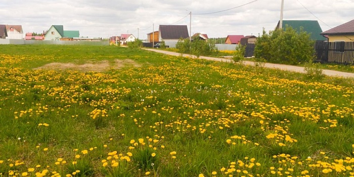 Участок №831 в поселке Холмец
